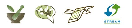 Основные стили для логотипа